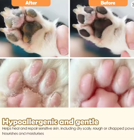 Pfotenpflege-Balsam für Hunde & Katzen – Sanft & Schützend
